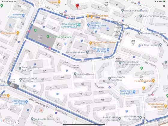 房屋出售 • 芽笼 • 2 Teck Whye Avenue • S$558000 • 4房(3臥室) • 1216ft² / 112m² 照片