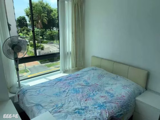 单间出租 • 新邦 •  Haig Residences • S$1200 • 住宅公寓 • 普通房 照片