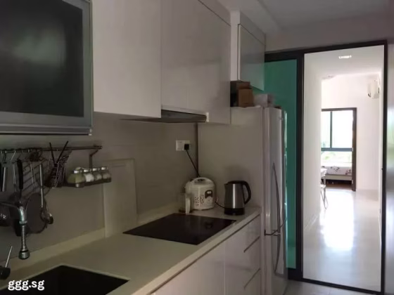 单间出租 • 新邦 •  Haig Residences • S$1200 • 住宅公寓 • 普通房 照片