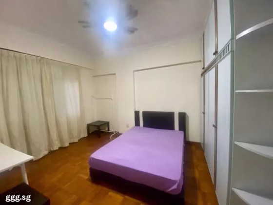 单间出租 • 兀兰 •  Pinetree Condominium • S$1580 • 共管公寓 • 主人房 照片