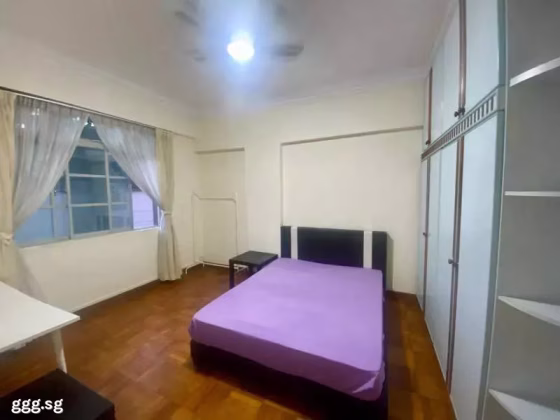 单间出租 • 兀兰 •  Pinetree Condominium • S$1580 • 共管公寓 • 主人房 照片