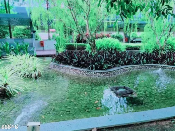 单间出租 • 林厝港 •  The Lakefront Residences • S$1600 • 共管公寓 • 主人房 照片