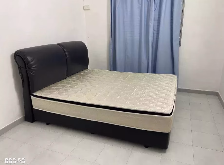 单间出租 • 乌节 • 564 Ang Mo Kio Avenue 3 • S$1100 • 3房(2臥室) • 普通房 照片