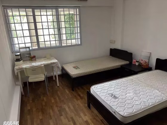 单间出租 • 新加坡河 • 853 Hougang Central • S$700 • 联排排屋 • 普通房 照片