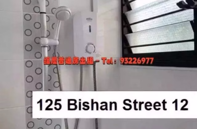 单间出租 • 碧山 • 125 Bishan Street 12 • S$1080 • 3房(2臥室) • 普通房
