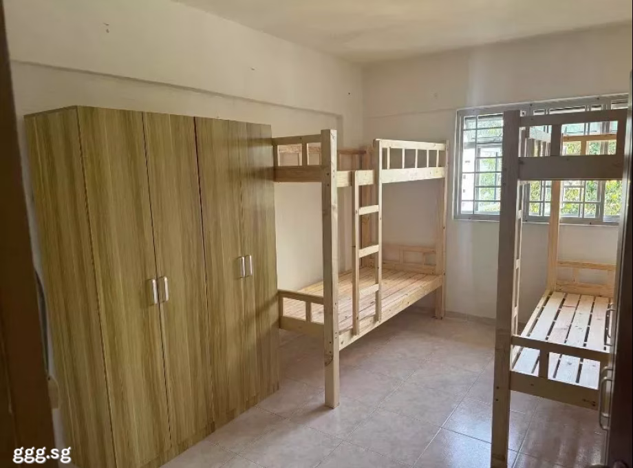 单间出租 • 乌节 • 113 Ang Mo Kio Avenue 4 • S$350 • 3房(2臥室) • 床位出租 照片