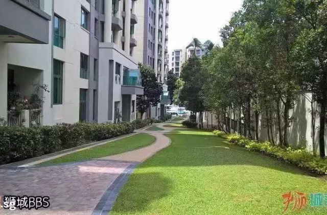 单间出租 • 诺维娜 •  Signature Park • S$650 • 共管公寓 • 普通房