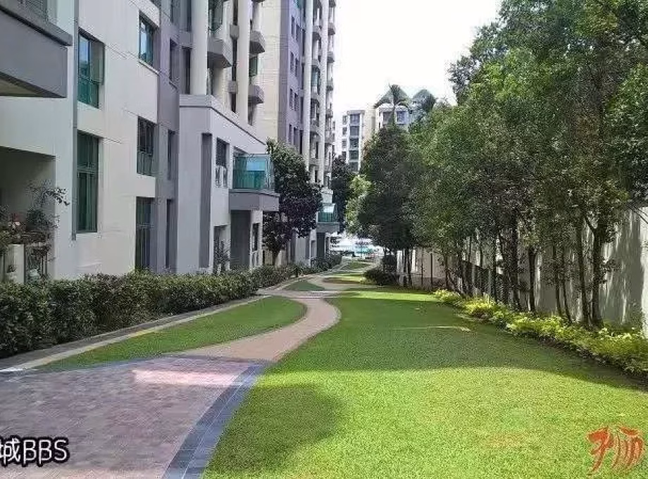 单间出租 • 诺维娜 •  Signature Park • S$650 • 共管公寓 • 普通房 照片