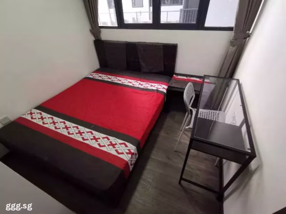 单间出租 • 马林百列 •  Gem Residences • S$1200 • 共管公寓 • 普通房 照片