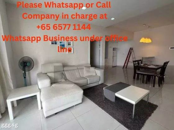 整套出租 • 市中心 •  Jadescape • S$2700 • 共管公寓 • 527ft² / 48m² 照片