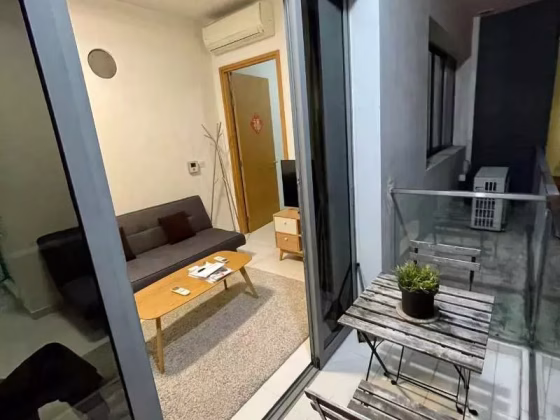 整套出租 • 博物馆 •  Sing Joo Walk • S$3900 • 住宅公寓 •  照片