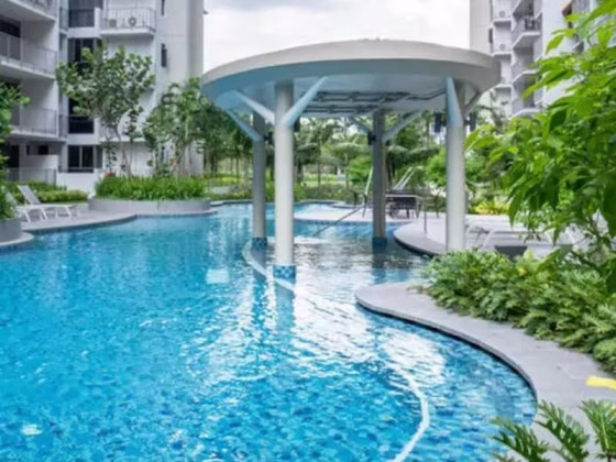 单间出租 • 后港 •  Parc Life • S$1100 • 共管公寓 • 普通房 照片