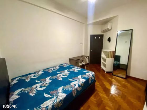 单间出租 • 武吉知马 •  Maybelle Lodge • S$1280 • 住宅公寓 • 普通房 照片