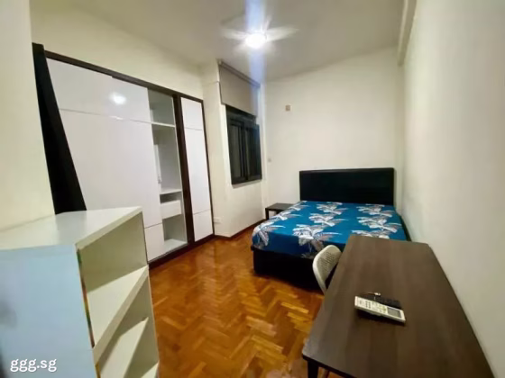 单间出租 • 武吉知马 •  Maybelle Lodge • S$1280 • 住宅公寓 • 普通房 照片