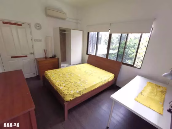 单间出租 • 武吉知马 •  East Grove • S$1380 • 住宅公寓 • 普通房 照片