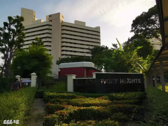 单间出租 • 巴耶利峇 •  Ivory Heights • S$1200 • 共管公寓 • 普通房 照片