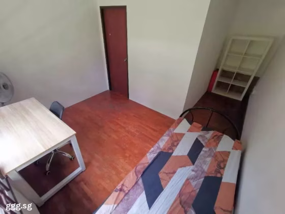 单间出租 • 马林百列 •  Braddell View • S$1250 • 住宅公寓 • 普通房 照片