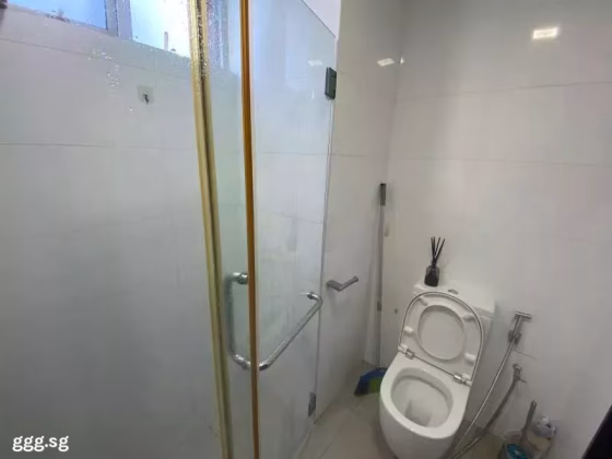 单间出租 • 纽顿 •  Summer Green • S$1300 • 住宅公寓 • 普通房 照片