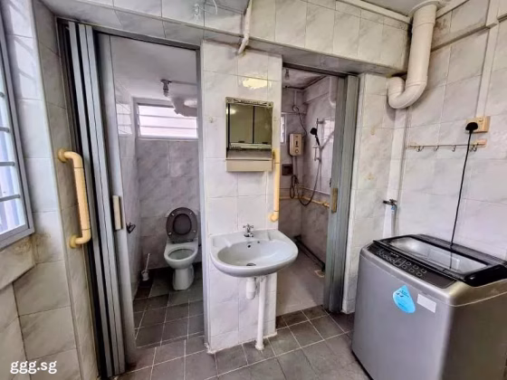 整套出租 • 蔡厝港 • 171 Stirling Road • S$3300 • 3房(2臥室) • 764ft² / 70m² 照片