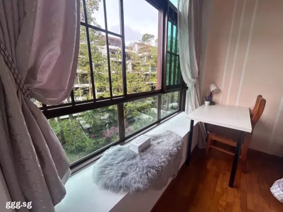 单间出租 • 武吉班让 •  Varsity Park Condominium • S$2288 • 共管公寓 • 主人房 照片