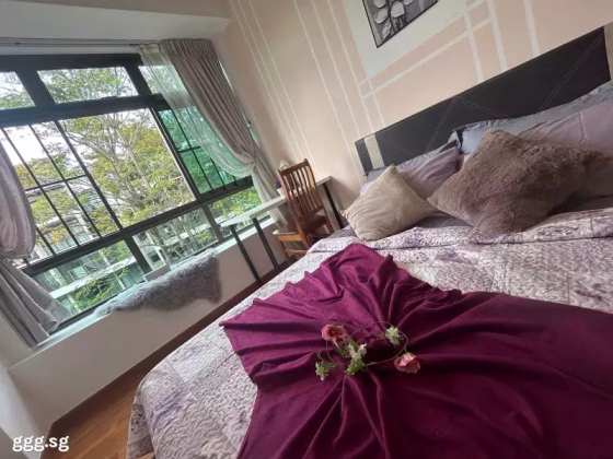 单间出租 • 武吉班让 •  Varsity Park Condominium • S$2288 • 共管公寓 • 主人房 照片
