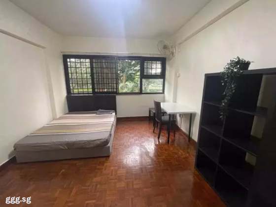 单间出租 • 武吉知马 •  Laguna Park • S$1200 • 住宅公寓 • 普通房 照片