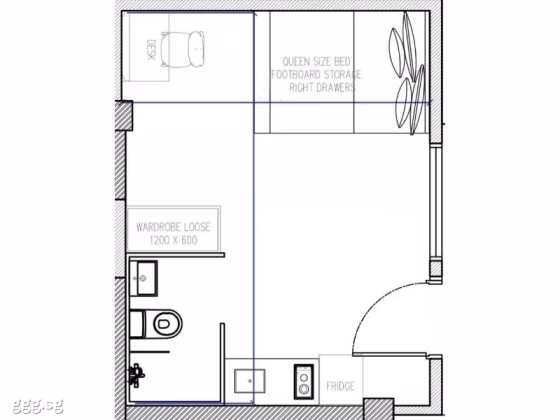 单间出租 • 登加 • BUKIT TIMAH ROAD (259697) • S$2600 • 双拼别墅 • 主人房 照片