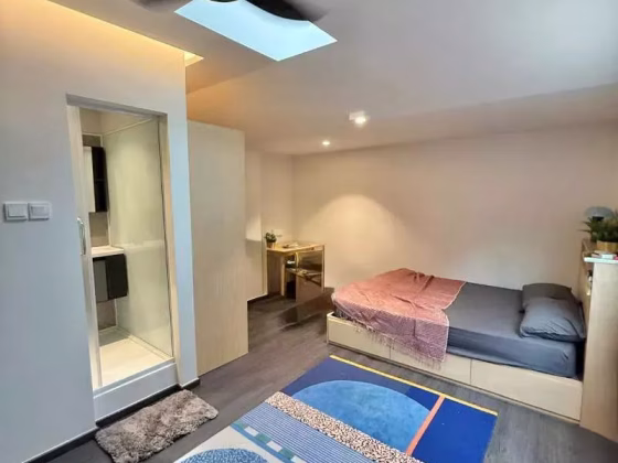 单间出租 • 登加 • BUKIT TIMAH ROAD (259697) • S$2600 • 双拼别墅 • 主人房 照片