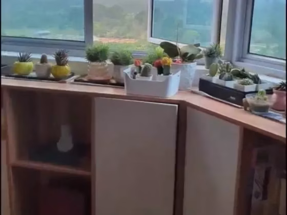 整套出租 • 巴耶利峇 •  Ivory Heights • S$5500 • 共管公寓 • 1700ft² / 157m² 照片