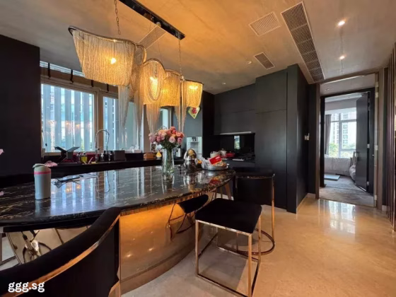整套出租 • 兀兰 •  Gramercy Park • S$9200 • 共管公寓 • 1274ft² / 118m² 照片