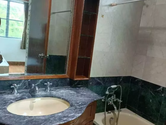 单间出租 • 红山 •  Springdale Condo • S$1800 • 住宅公寓 • 主人房 照片