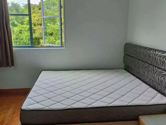 单间出租 • 红山 •  Springdale Condo • S$1800 • 住宅公寓 • 主人房 照片