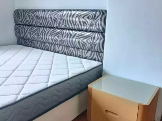 单间出租 • 红山 •  Springdale Condo • S$1800 • 住宅公寓 • 主人房 照片