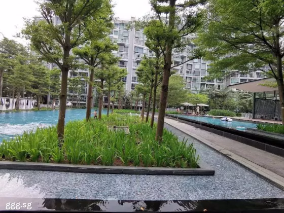 整套出租 • 武吉班让 •  Botannia • S$0 • 住宅公寓 • 926ft² / 86m² 照片