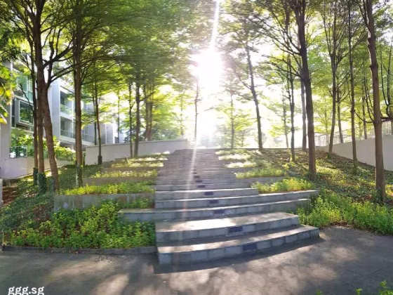 整套出租 • 武吉班让 •  Botannia • S$0 • 住宅公寓 • 926ft² / 86m² 照片