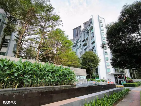 整套出租 • 武吉班让 •  Botannia • S$0 • 住宅公寓 • 926ft² / 86m² 照片
