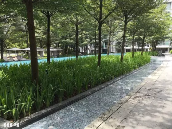 整套出租 • 武吉班让 •  Botannia • S$0 • 住宅公寓 • 926ft² / 86m² 照片
