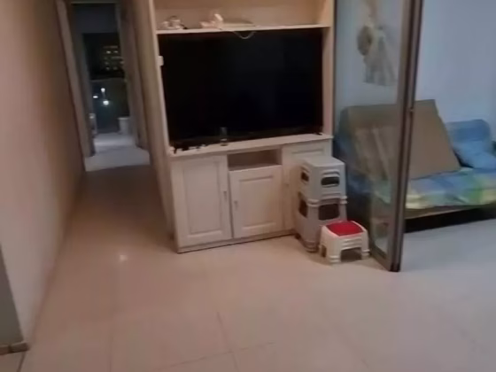整套出租 • 武吉班让 •  Botannia • S$0 • 住宅公寓 • 926ft² / 86m² 照片