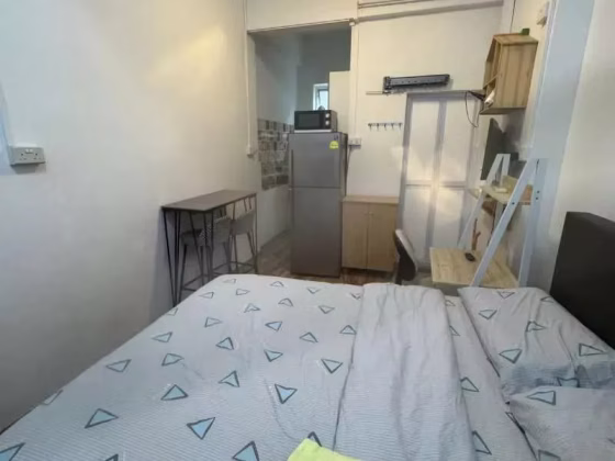 整套出租 • 南部群岛 • 261 Waterloo Street • S$3000 • 2房(1臥室) • 344ft² / 31m² 照片