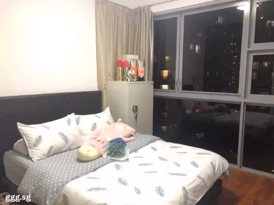 整套出租 • 碧山 •  Rivertrees Residences • S$3500 • 住宅公寓 • 800ft² / 74m² 照片