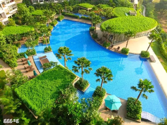 整套出租 • 碧山 •  Rivertrees Residences • S$3500 • 住宅公寓 • 800ft² / 74m² 照片