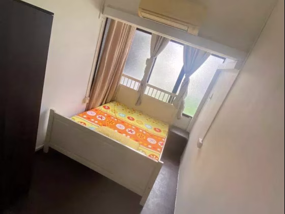 单间出租 • 武吉知马 •  East Grove • S$1180 • 住宅公寓 • 普通房 照片