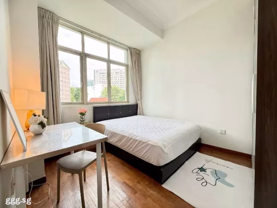单间出租 • 纽顿 •  Apleton View • S$1600 • 住宅公寓 • 普通房 照片