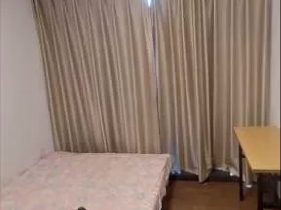 整套出租 • 武吉班让 •  Parc Clematis • S$3300 • 住宅公寓 • 480ft² / 44m² 照片