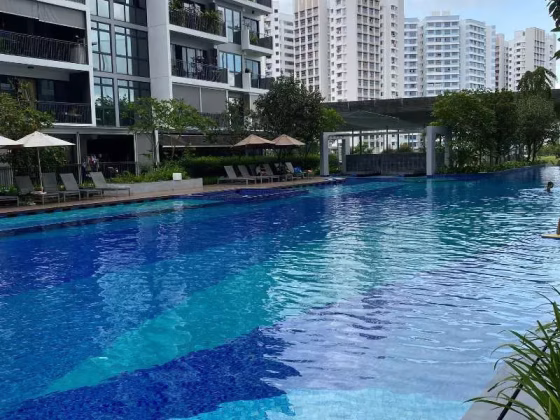 整套出租 • 樟宜 •  Riverparc Residence • S$3600 • 共管公寓 • 818ft² / 75m² 照片
