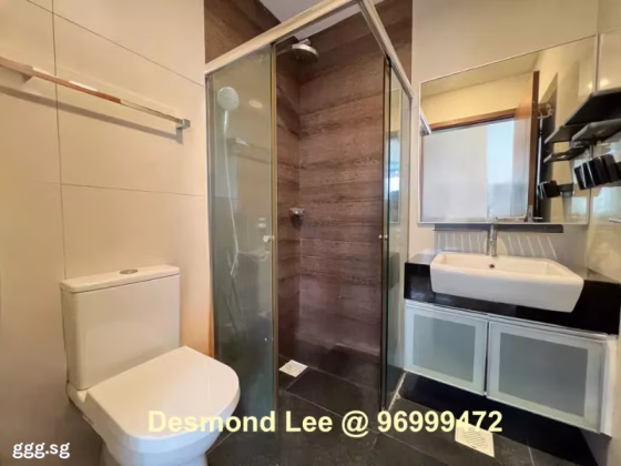 整套出租 • 纽顿 •  Prestige Heights • S$3500 • 住宅公寓 • 581ft² / 53m² 照片