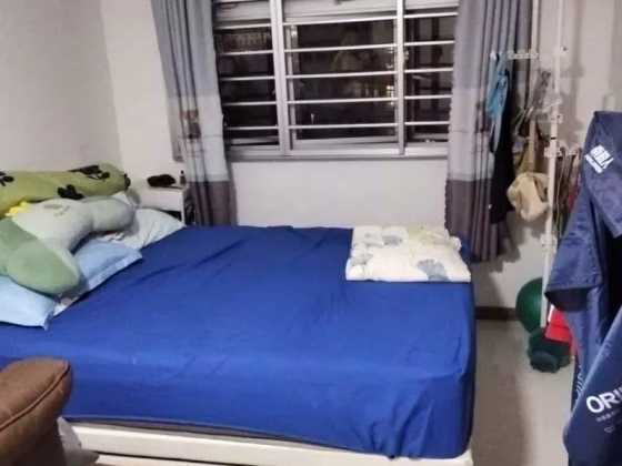 单间出租 • 碧山 • 356B Anchorvale Lane • S$1200 • 3房(2臥室) • 主人房 照片