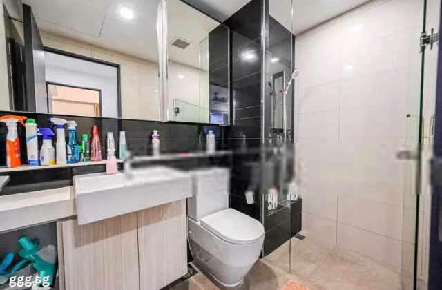整套出租 • 登加 •  Liberte • S$3250 • 住宅公寓 • 743ft² / 69m²