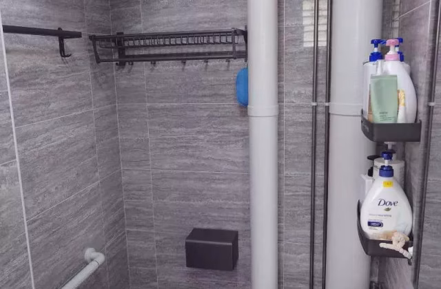 单间出租 • 新加坡河 • 548 Hougang Street 51 • S$500 • 3房(2臥室) • 普通房