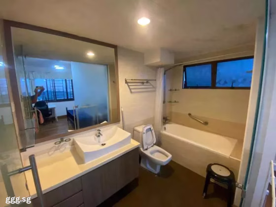 单间出租 • 马林百列 •  Braddell View • S$1680 • 共管公寓 • 主人房 照片